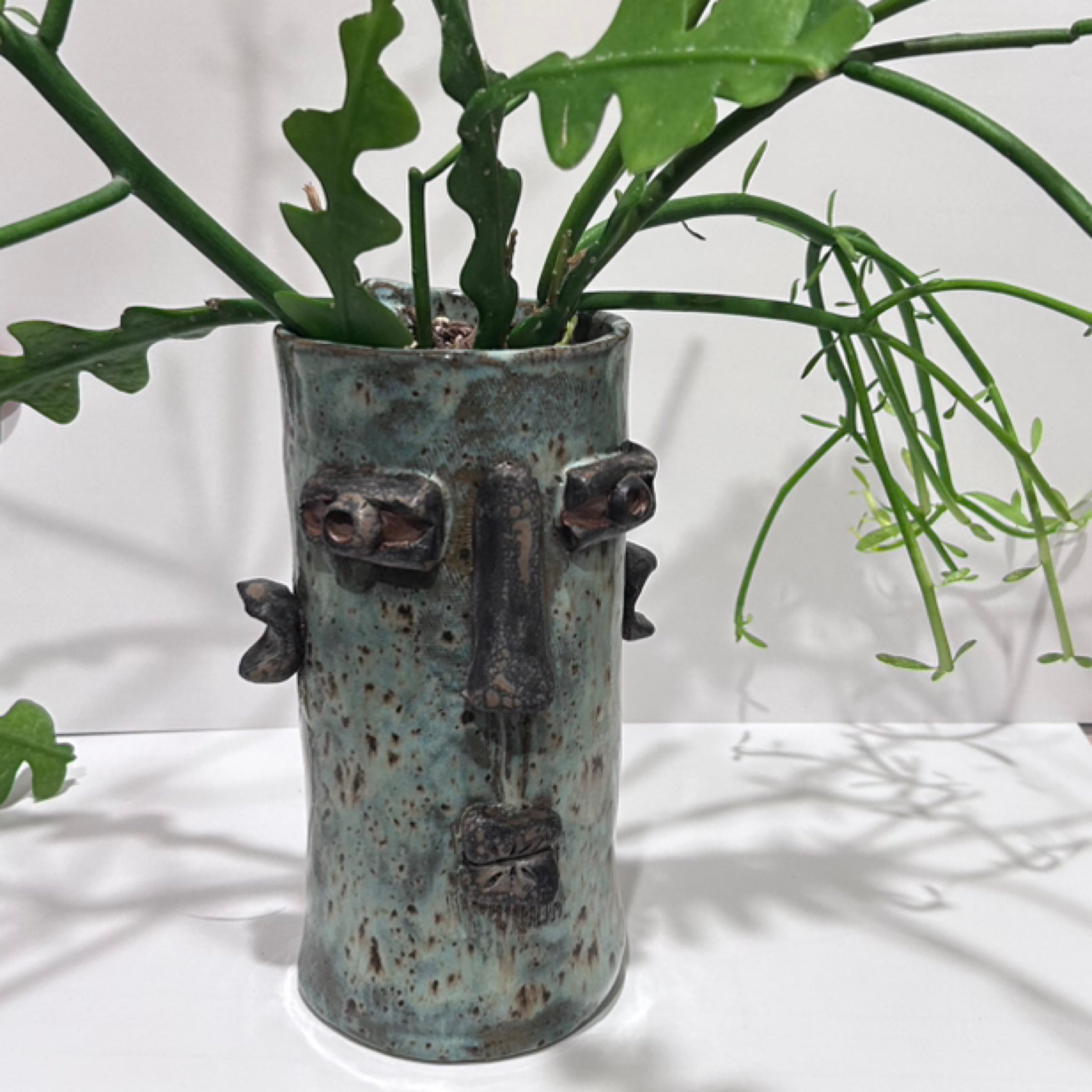 Planter - Cenote head with exotic succulents | Mississippi Latinx Art  Association